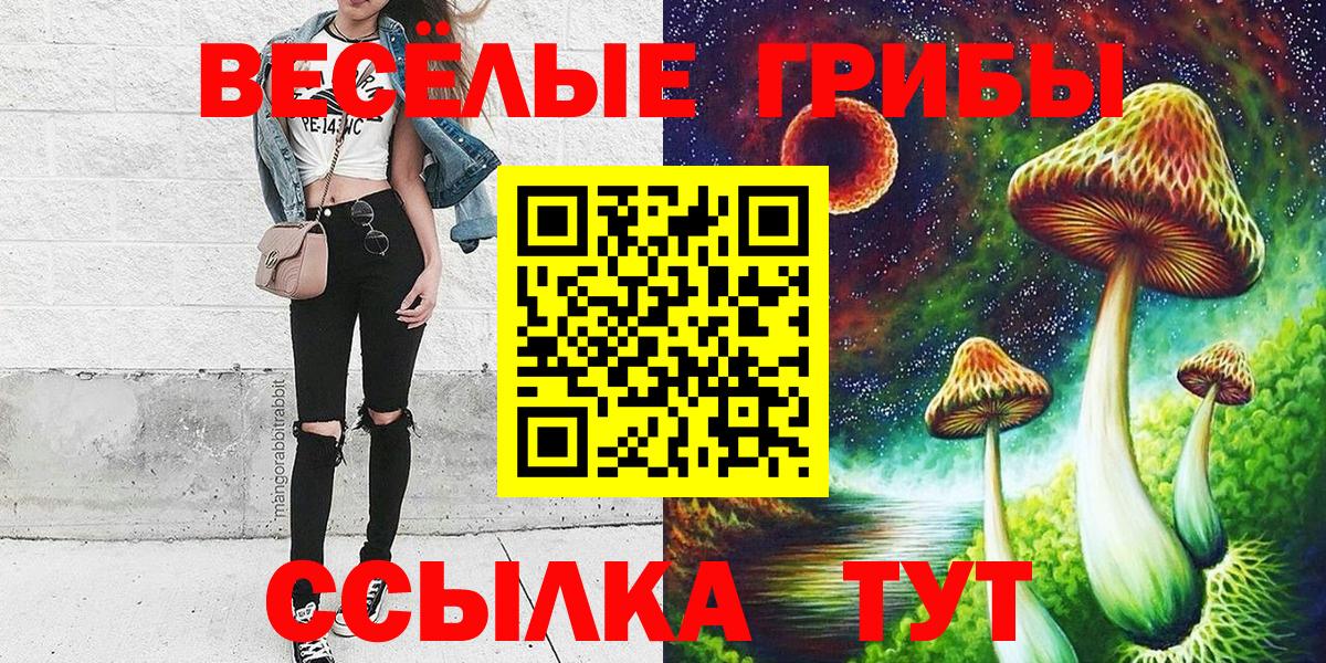 Ейск  Псилоцибиновые грибы ЛСД  Вход с VPN 